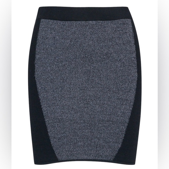 Quinn Dresses & Skirts - NWT QUINN Alyson Cashmere Skirt